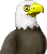 falcon1